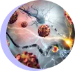 Automated Disease Detection Solutions