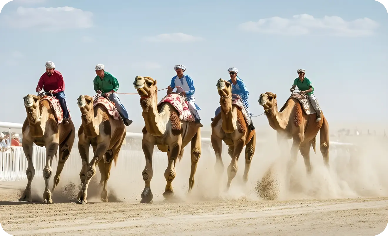 Camel Racing Game 