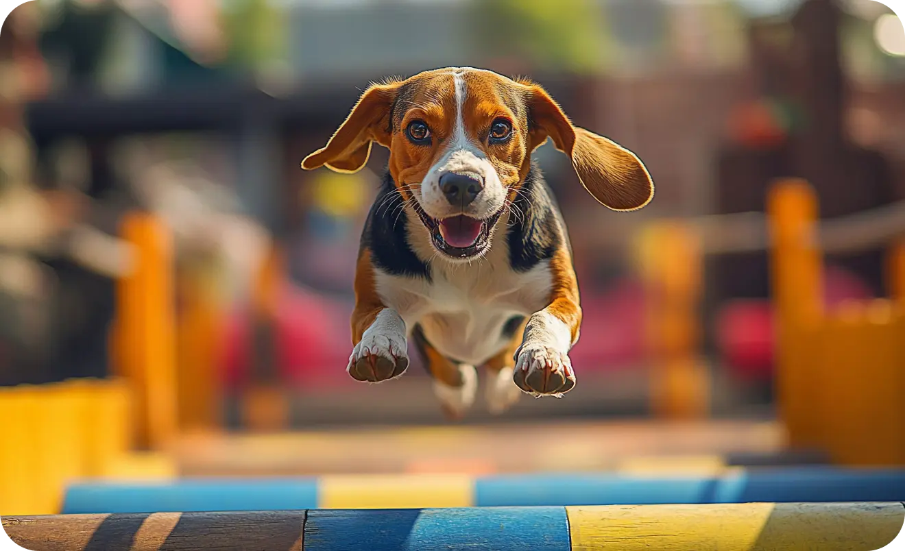 Dog Racing Game