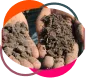 Soil Condition Evaluation Soil Condition Evaluation