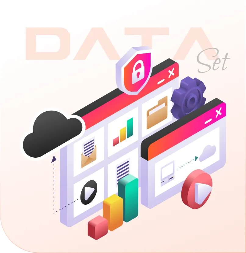Dataset Provider