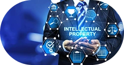 Intellectual Property Assets Intellectual Property Assets