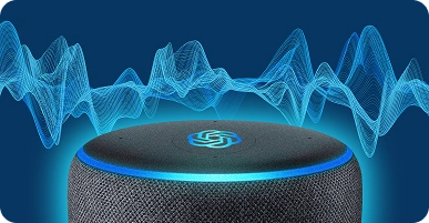 Smart Assistants & Devices Smart Assistants & Devices