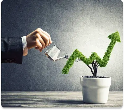 Focus on Growth Focus on Growth