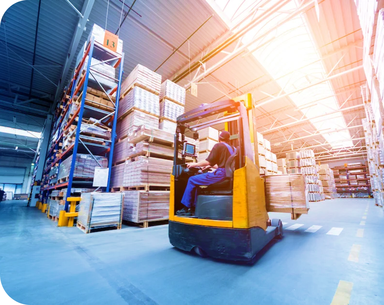 Manufacturing & Distribution