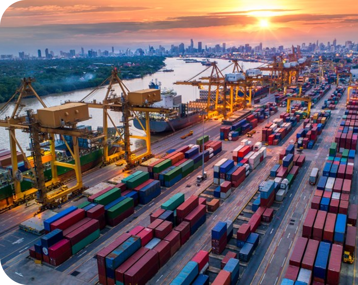 Food & Beverage Supply Chain