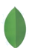 MongoDB