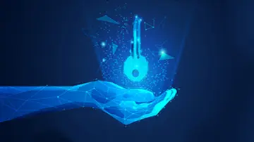 STO Development