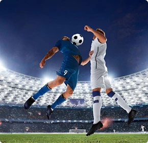 White-Label Fantasy Sports Software