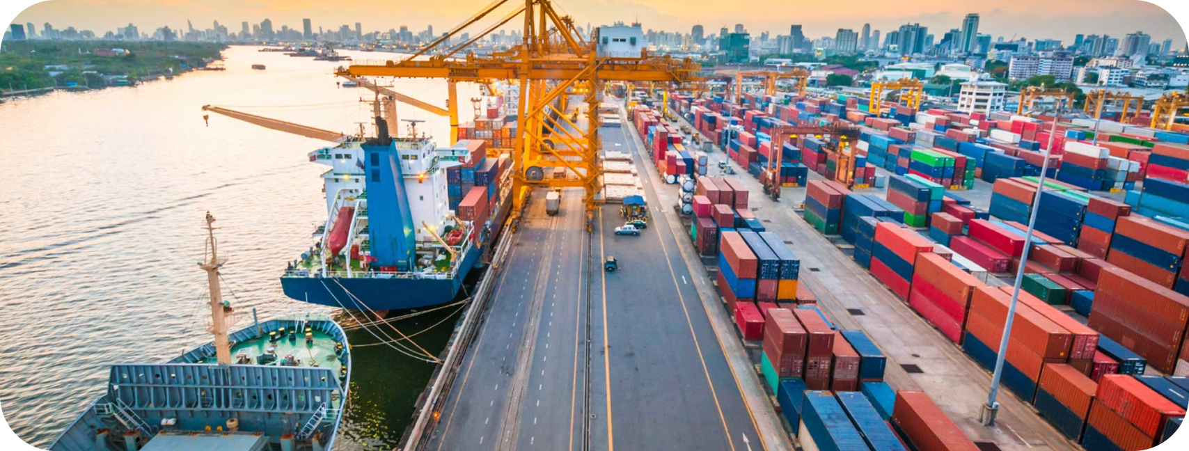 Freight & Shipping Management Software