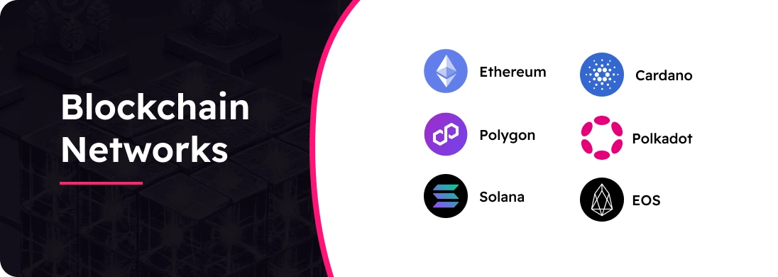 Blockchain Networks