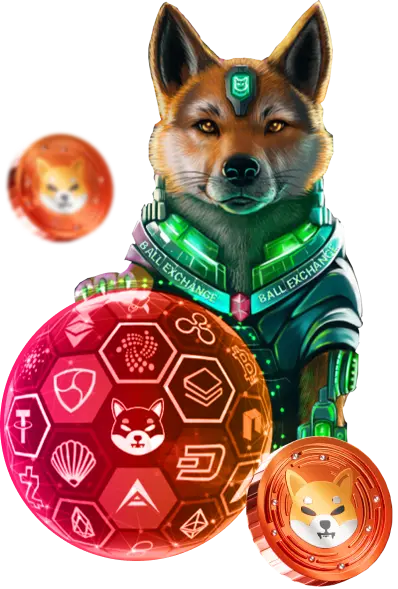 Shibarium Token Development Shibarium Token Development