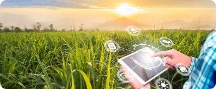 Managing Agricultural Finance